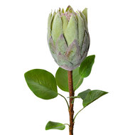 Clayre &amp; Eef   | Kunstbloem Groen 10x10x65 cm | 6PL0389GR