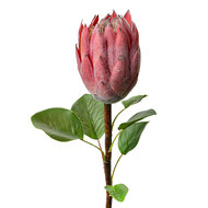 Clayre & Eef | Kunstbloem Roze Groen 10x10x65 cm | 6PL0389P