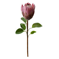 Clayre & Eef | Kunstbloem Paars Groen 10x10x65 cm | 6PL0389PA