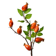 Clayre & Eef | Decoratie tak Oranje Groen 10x8x50 cm | 6PL0390O