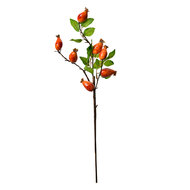 Clayre & Eef | Decoratie tak Oranje Groen 10x8x50 cm | 6PL0390O