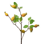 Clayre & Eef | Decoratie tak Geel Groen 10x8x50 cm | 6PL0390Y