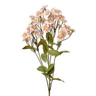 Clayre & Eef | Decoratie tak met bloemen Beige Groen 8x8x63 cm | 6PL0384BE