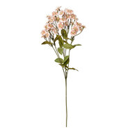Clayre & Eef | Decoratie tak met bloemen Beige Groen 8x8x63 cm | 6PL0384BE