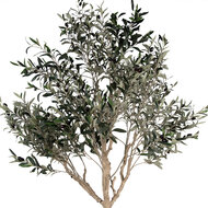Clayre &amp; Eef   | Decoratie Olijfboom Groen Beige 120x80x240 cm | 5PL0139