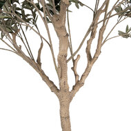 Clayre &amp; Eef   | Decoratie Olijfboom Groen Beige 120x80x240 cm | 5PL0139