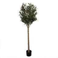 Clayre & Eef | Decoratie boom Groen 50x50x165 cm | 5PL0148