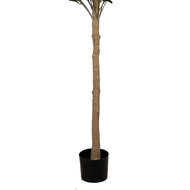 Clayre & Eef | Decoratie boom Groen 50x50x165 cm | 5PL0148