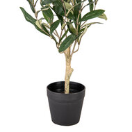 Clayre &amp; Eef   | Decoratie boom Groen 15x15x50 cm | 6PL0370