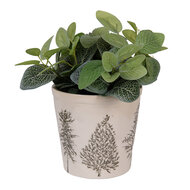 Clayre & Eef | Bloempot Binnen Beige Groen ø 17x16 cm | 6CENPT0001L