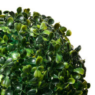 Clayre & Eef | Decoratie kunststof bol Buxus Groen ø 20 cm | 6PL0325M