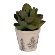 Clayre & Eef | Bloempot Binnen Beige Groen ø 8x7 cm | 6CENPT0001XS