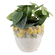 Clayre & Eef | Bloempot Binnen Wit Geel ø 14x12 cm | 6TE0571