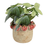 Clayre & Eef | Bloempot Binnen Beige Rood ø 15x11 cm | 6TE0588M