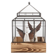 Clayre & Eef | Decoratie Kweekkasje Transparant Bruin 21x21x32 cm | 6GL5362