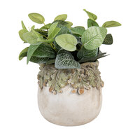 Clayre & Eef | Bloempot Binnen Beige Groen ø 19x17 cm | 6TE0573M