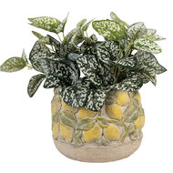 Clayre & Eef | Bloempot Binnen Beige Geel ø 19x15 cm | 6TE0575