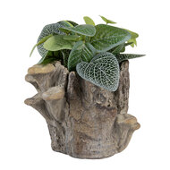 Clayre & Eef | Bloempot Binnen Bruin Beige 19x17x16 cm | 6TE0577S