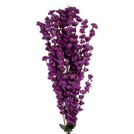 Clayre & Eef | Decoratie tak met bloemen Paars Groen 15x10x100 cm | 5PL0168PA