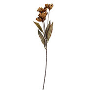 Clayre & Eef | Decoratie tak met bloemen Bruin Groen 8x5x60 cm | 6PL0403CR