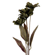 Clayre & Eef | Decoratie tak met bloemen Groen 8x5x60 cm | 6PL0403GR