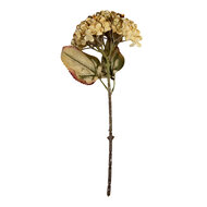 Clayre & Eef | Decoratie tak met bloemen Beige Groen 15x15x47 cm | 6PL0404BE