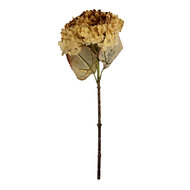 Clayre &amp; Eef   | Decoratie tak met bloemen Beige Groen 15x15x47 cm | 6PL0404CR