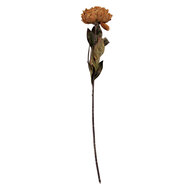 Clayre & Eef | Kunstbloem Bruin Groen 10x10x65 cm | 6PL0405BR