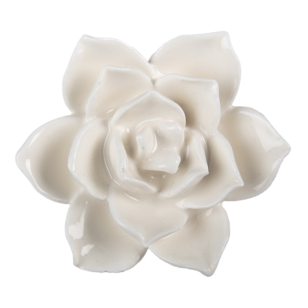 Clayre & Eef   | Deurknop Wit Bruin ø 5x4 cm | 62349