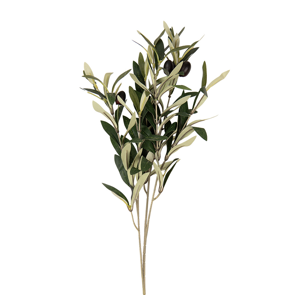 Clayre & Eef   | Decoratie tak met olijven Groen 10x10x55 cm | 6PL0371