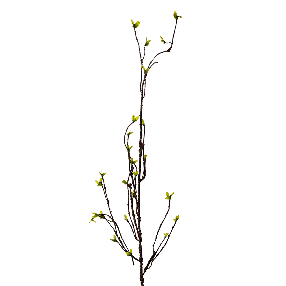 Clayre & Eef   | Decoratie Tak Groen Bruin 8x5x116 cm | 5PL0182