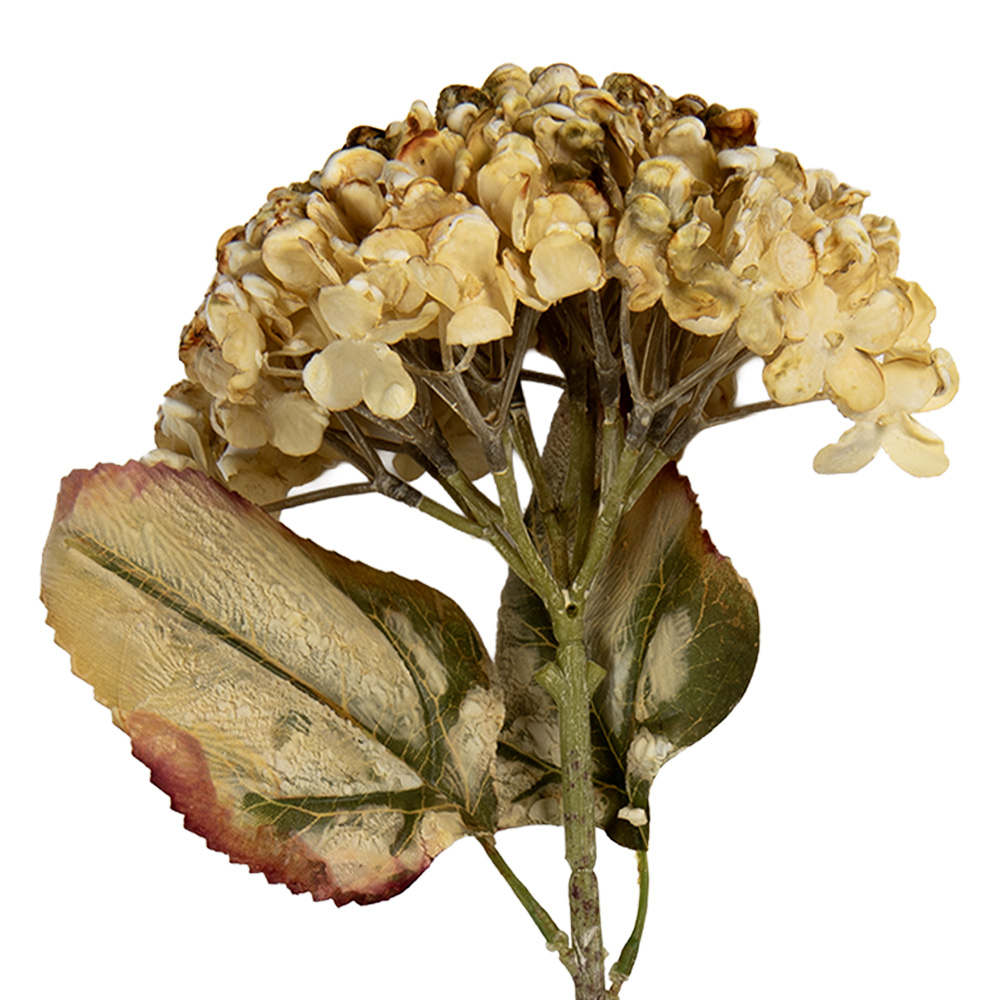 Clayre & Eef   | Decoratie tak met bloemen Beige Groen 15x15x47 cm | 6PL0404BE