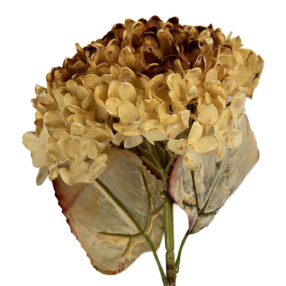 Clayre & Eef   | Decoratie tak met bloemen Beige Groen 15x15x47 cm | 6PL0404CR