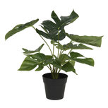 Clayre & Eef | Kunstplant Groen 30x30x34 cm | 6PL0215 Clayre & Eef | Kunstplant Groen 30x30x34 cm | 6PL0215