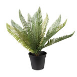 Clayre & Eef | Kunstplant Groen Zwart 50x50x38 cm | 6PL0225 Clayre & Eef | Kunstplant Groen Zwart 50x50x38 cm | 6PL0225