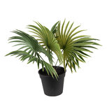 Clayre & Eef | Kunstplant Groen Zwart 43x40x33 cm | 6PL0226 Clayre & Eef | Kunstplant Groen Zwart 43x40x33 cm | 6PL0226