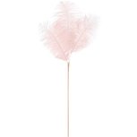 Dekoratief | Deco tak m/veren, roze, 70cm | A229086 Dekoratief | Deco tak m/veren, roze, 70cm | A229086