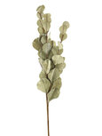 Dekoratief | Decotak m/blaadjes, groen, fluweel/polyester, 80cm | A229091 Dekoratief | Decotak m/blaadjes, groen, fluweel/polyester, 80cm | A229091