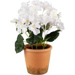Dekoratief | Bloempot m/witte bloemen, PVC, 15x15x23cm | A240579 Dekoratief | Bloempot m/witte bloemen, PVC, 15x15x23cm | A240579