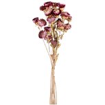 Dekoratief | Droogboeket m/roze bloemen, naturel, 65cm | A240582 Dekoratief | Droogboeket m/roze bloemen, naturel, 65cm | A240582