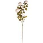 Dekoratief | Deco tak m/pioenen, wit, PVC, 68cm | A240589 Dekoratief | Deco tak m/pioenen, wit, PVC, 68cm | A240589