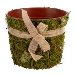 Dekoratief | Bloempot m/strik/mos, groen/naturel, 13x13x12cm | A240970 Dekoratief | Bloempot m/strik/mos, groen/naturel, 13x13x12cm | A240970