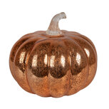 Clayre & Eef | Decoratie pompoen LED ø 15x13 cm / 3xAAA | 6GL4649 Clayre & Eef | Decoratie pompoen LED ø 15x13 cm / 3xAAA | 6GL4649