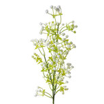 Clayre & Eef | Decoratie tak met bloemen Wit Groen 10x10x70 cm | 6PL0286 Clayre & Eef | Decoratie tak met bloemen Wit Groen 10x10x70 cm | 6PL0286