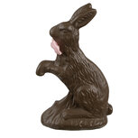 Clayre & Eef | Decoratie Konijn Bruin 8x4x13 cm | 6PR5185 Clayre & Eef | Decoratie Konijn Bruin 8x4x13 cm | 6PR5185
