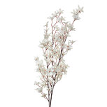 Clayre & Eef | Decoratie tak met bloemen Wit Groen 6x6x110 cm | 5PL0167W Clayre & Eef | Decoratie tak met bloemen Wit Groen 6x6x110 cm | 5PL0167W