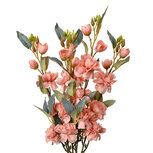 Clayre & Eef | Decoratie tak met bloemen Roze Groen 10x10x51 cm | 6PL0378P Clayre & Eef | Decoratie tak met bloemen Roze Groen 10x10x51 cm | 6PL0378P