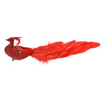 Clayre & Eef | Kerstdecoratie Vogel Rood 30x9x9 cm | 66136 Clayre & Eef | Kerstdecoratie Vogel Rood 30x9x9 cm | 66136