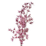 Clayre & Eef | Decoratie tak met bloemen Paars 15x7x112 cm | 5PL0136PA Clayre & Eef | Decoratie tak met bloemen Paars 15x7x112 cm | 5PL0136PA