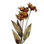 Clayre & Eef | Decoratie tak met bloemen Oranje Groen 8x5x60 cm | 6PL0403LO Clayre & Eef | Decoratie tak met bloemen Oranje Groen 8x5x60 cm | 6PL0403LO